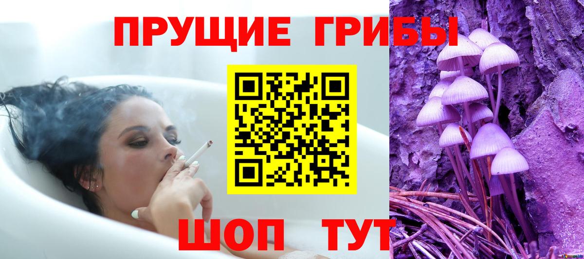 Галлюциногенные грибы MAGIC MUSHROOMS Мурино