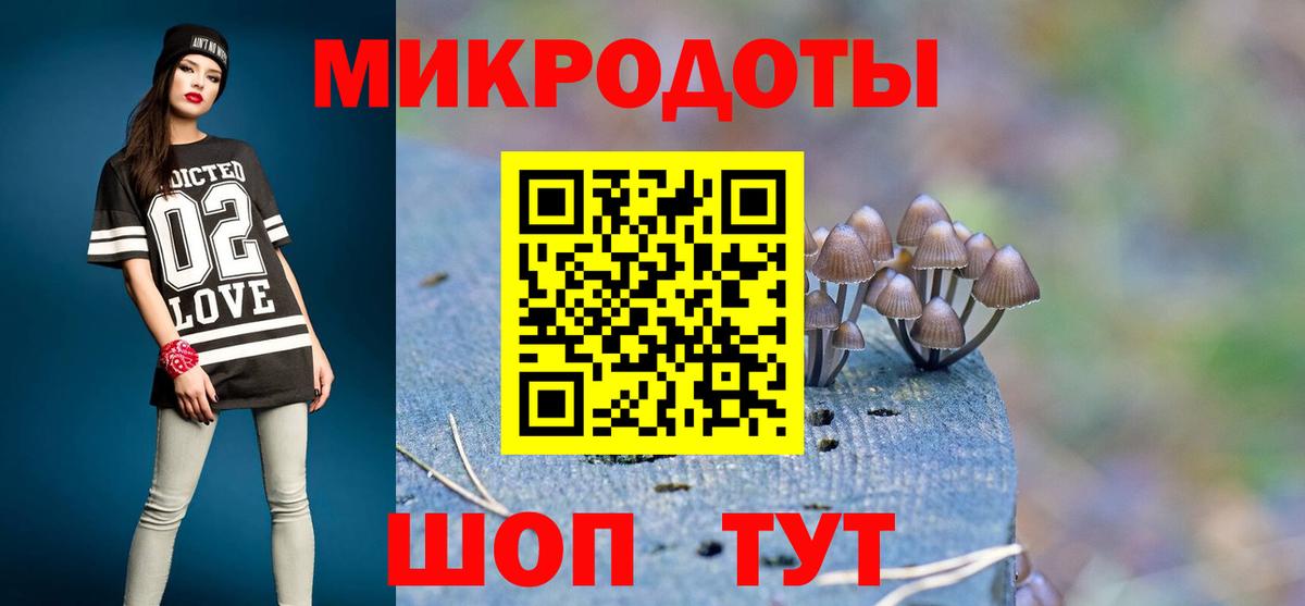 Мурино  Псилоцибиновые грибы Cubensis  Вход с VPN 